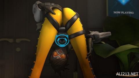 在寻求崛起 在寻求崛起